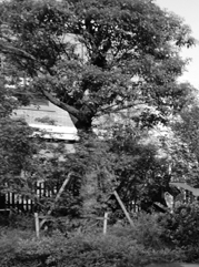 始兴注册公司